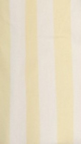 Florabel Button Up Shirt - Yellow/White Stripe